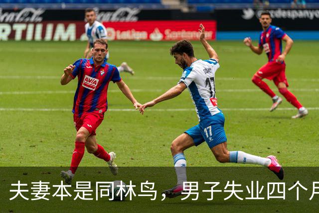 夫妻本是同林鸟，男子失业四个月，夫妻还是走到了离婚这一步，说好同舟共济，低谷却只剩互相指责